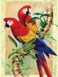 Malování podle čísel formát A4 - Papoušky na bambusech