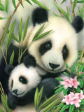 Malování podle čísel formát A4 - Panda s mládětem