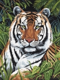 Malování podle čísel formát A4 - Tigr