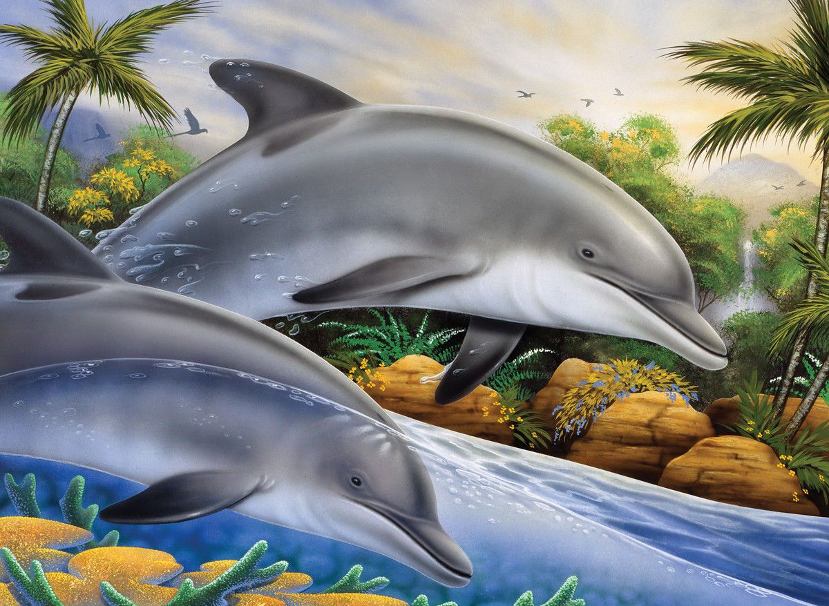 Malování podle čísel formát A3 - Delfíni