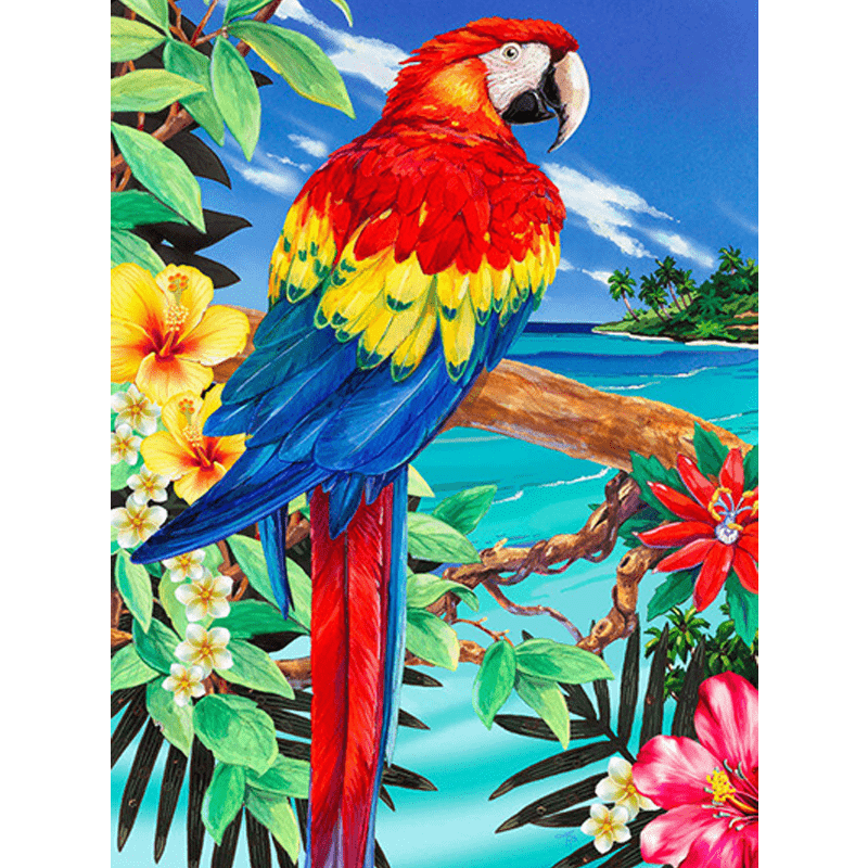Malování podle čísel formát A4 - Papoušek