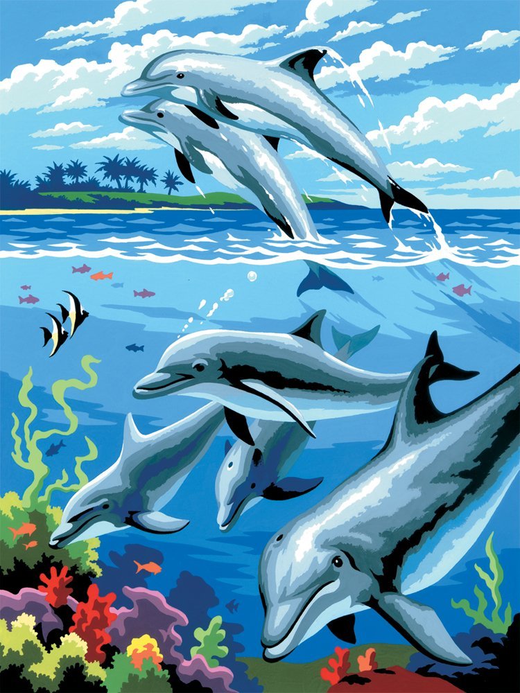 Malování podle čísel formát A4 - Delfíni