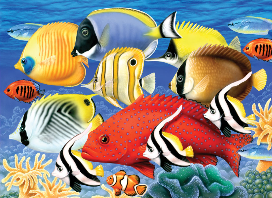 Malování podle čísel formát A3 - Tropické ryby