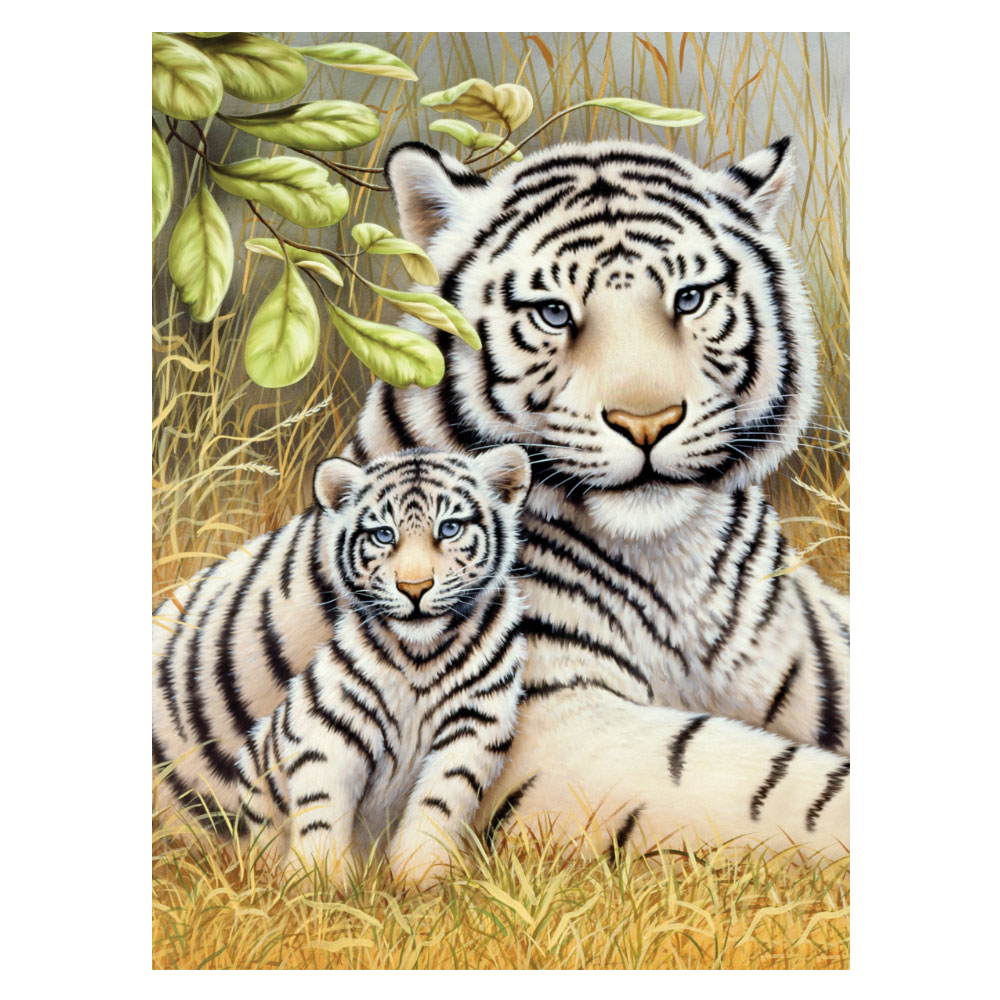 Malování podle čísel formát A4 - Bílé tygry